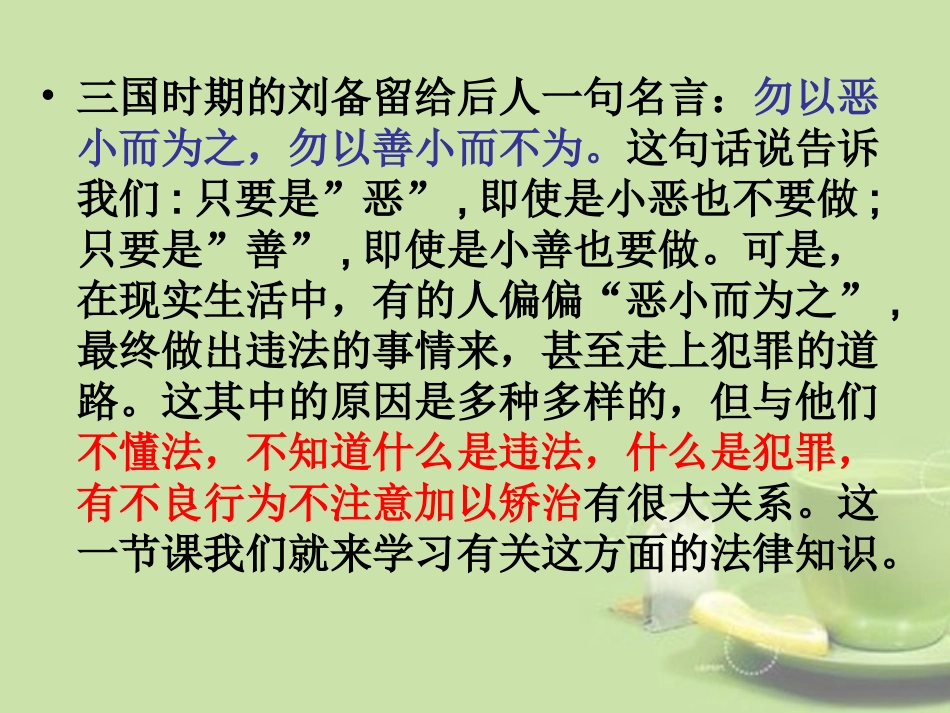 福建省厦门市洪塘中学七年级政治下册《第八单元-法不可违》复习课件-新人教版_第2页