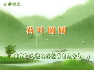 14荷叶圆圆