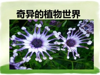 《奇异的植物世界》课件