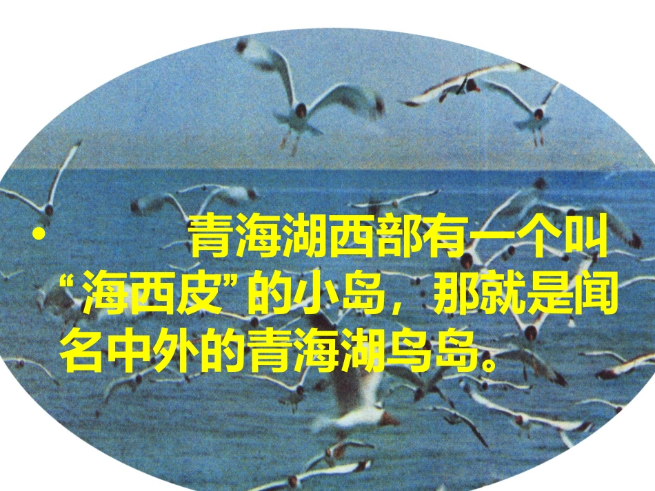 小学数学人教2011课标版三年级两位数加两位数口算课件-(4)_第2页