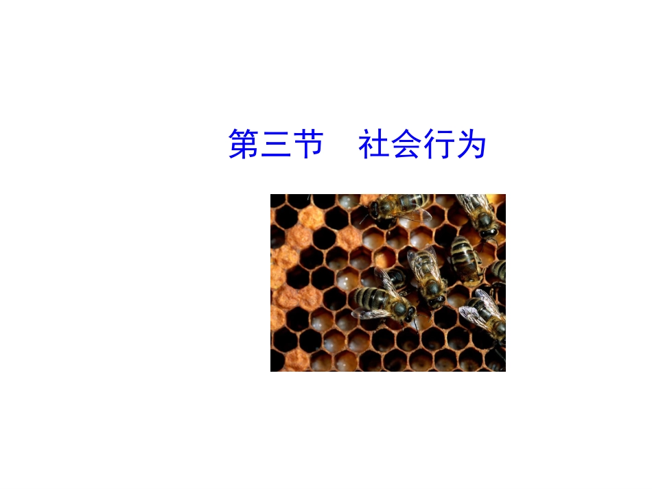 社会行为(共24张PPT)_第1页
