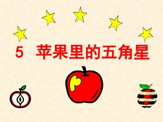 5苹果里的五角星