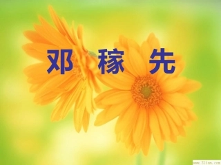 1邓稼先-(6)