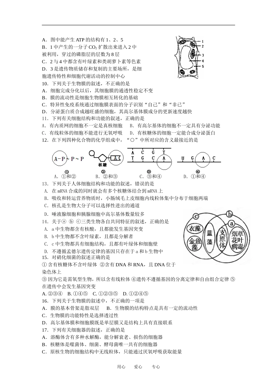 浙江省杭州市2013届高三生物第一次月考试题(无答案)浙科版_第2页
