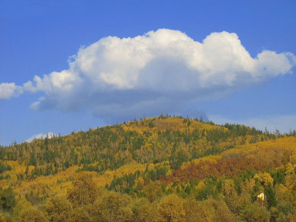 7、明天要秋游_第2页