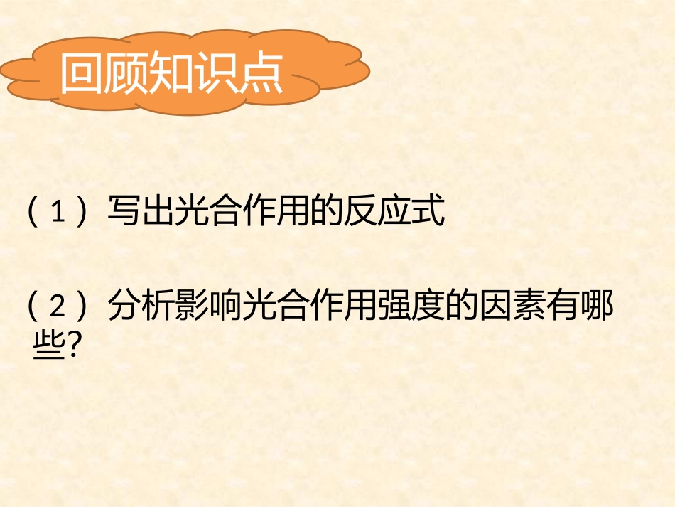 影响光合作用的环境因素_第2页