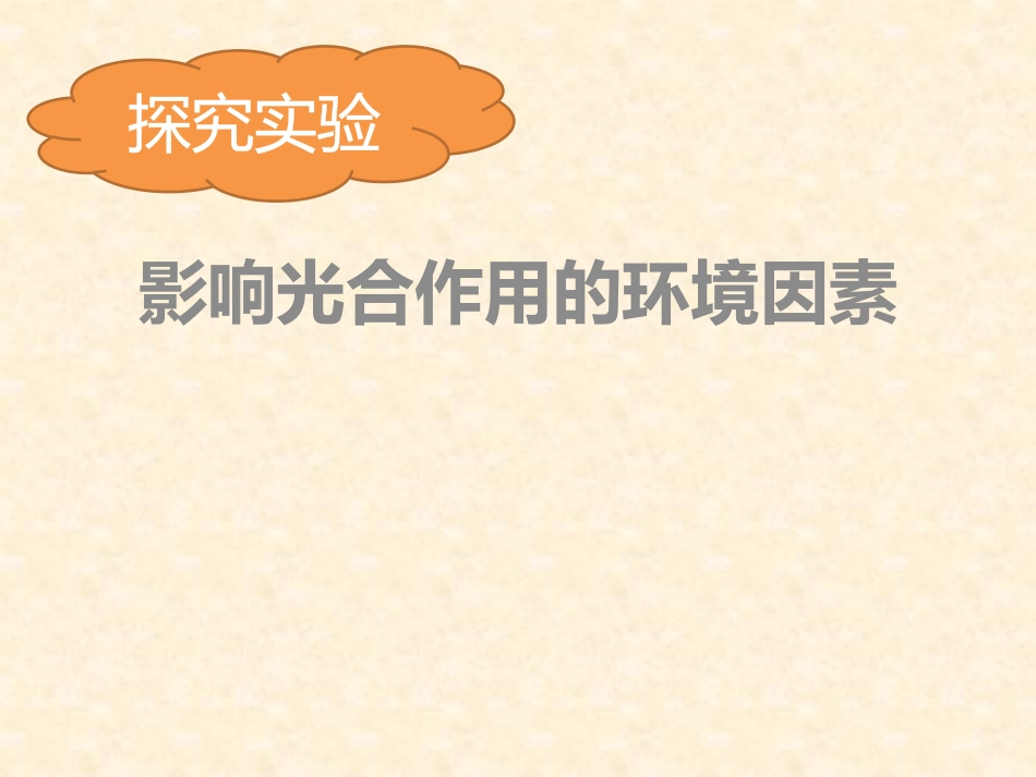 影响光合作用的环境因素_第3页