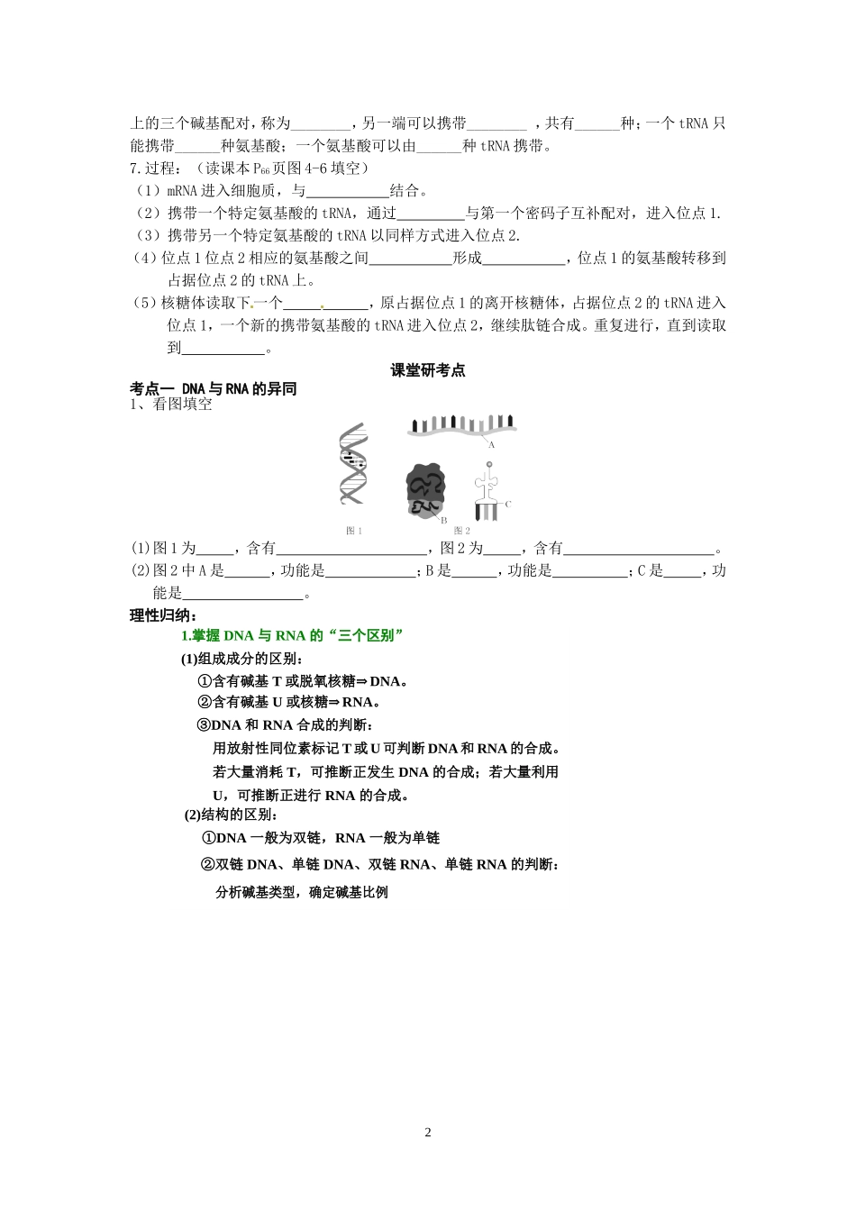 一基因控制蛋白质的合成_第2页