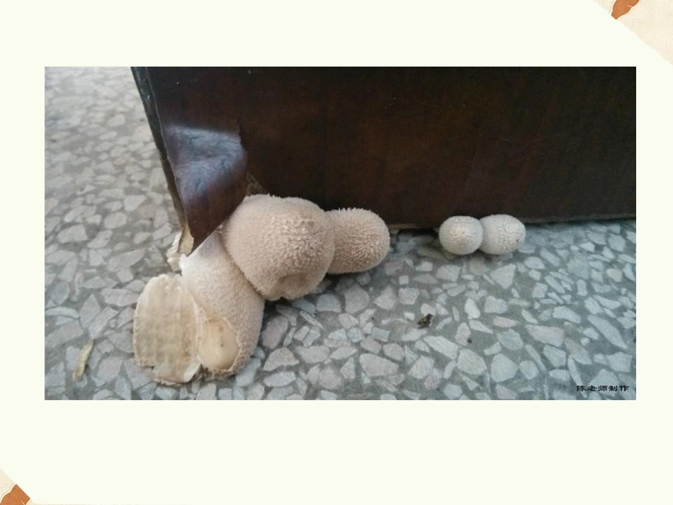 《第三节-神奇的微生物》课件3_第2页