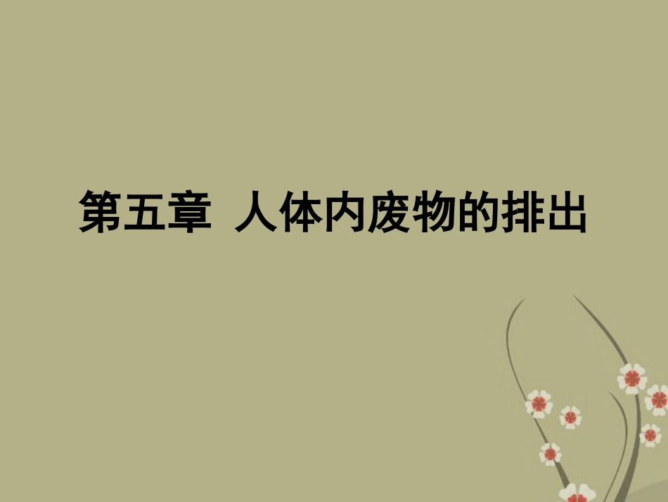 广东省阳东广雅中学2012-2013学年八年级生物下册《尿的形成和排出》课件-新人教版_第1页