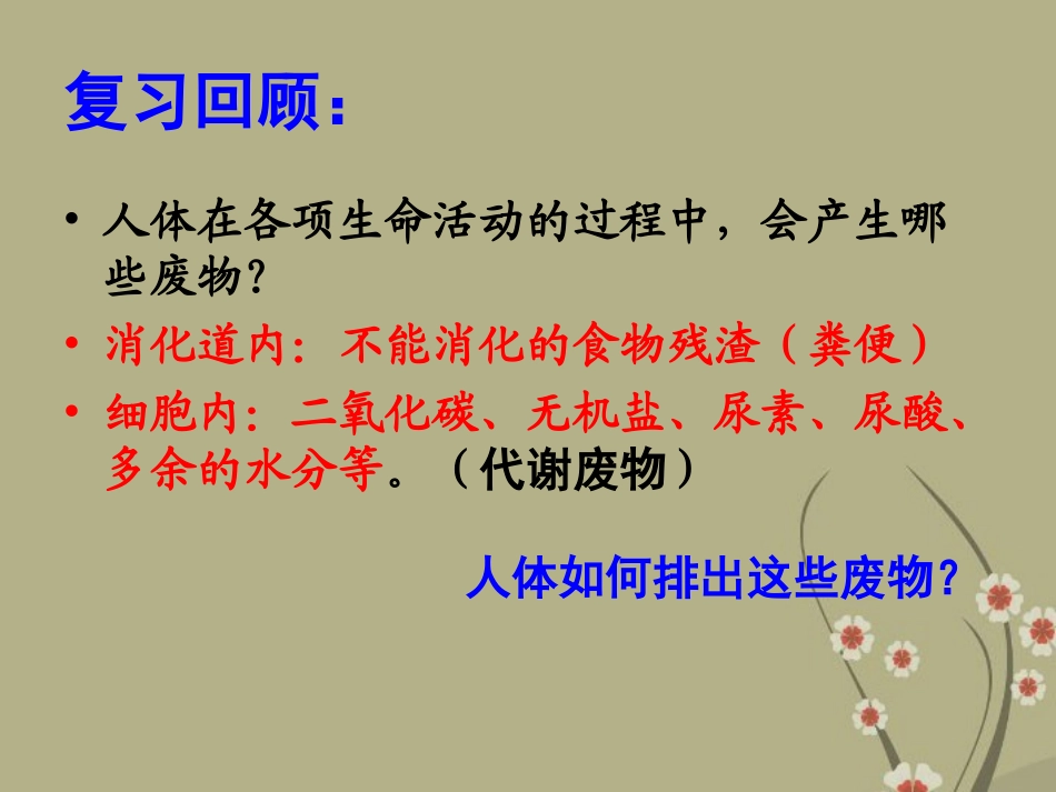 广东省阳东广雅中学2012-2013学年八年级生物下册《尿的形成和排出》课件-新人教版_第2页