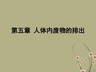 广东省阳东广雅中学2012-2013学年八年级生物下册《尿的形成和排出》课件-新人教版