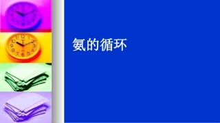 第一单元氨的合成-(2)