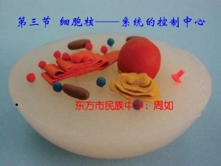 第四节细胞核-(4)