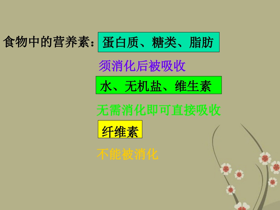 浙江省丽水市缙云县壶滨中学九年级科学上册《食物的消化与吸收》课件-浙教版_第2页