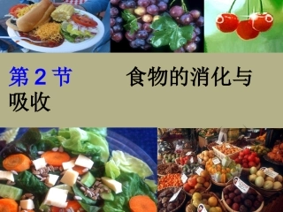 浙江省丽水市缙云县壶滨中学九年级科学上册《食物的消化与吸收》课件-浙教版