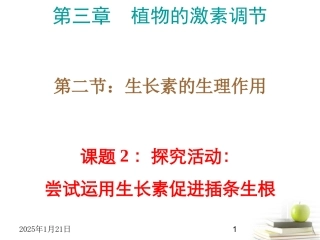 高中生物-3.2.2《探索生长素类似物促进插条生根的最适浓度》课件-新人教版必修3