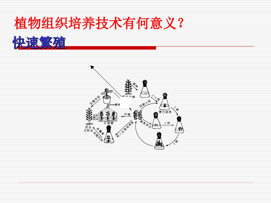 高中生物：-411-植物的组织培养(课件)浙科版选修1_第3页
