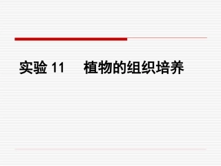 高中生物：-411-植物的组织培养(课件)浙科版选修1