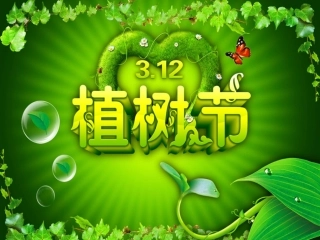 《春天的节日》课件1