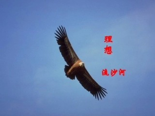 云南省祥云县禾甸中学七年级语文上册-理想课件(2)-新人教版