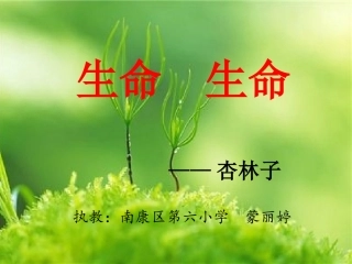 生命生命-(2)