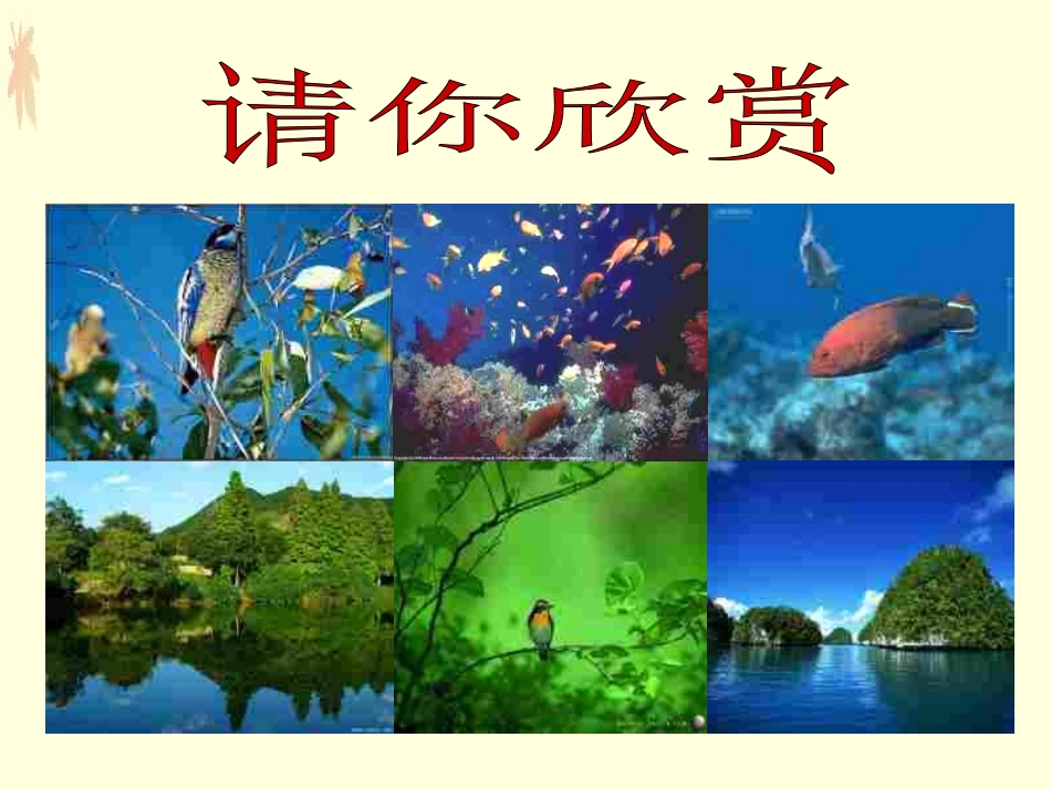 七年级政治上册《世界因生命而精彩》PPT课件[1]_第1页