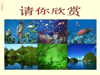 七年级政治上册《世界因生命而精彩》PPT课件[1]