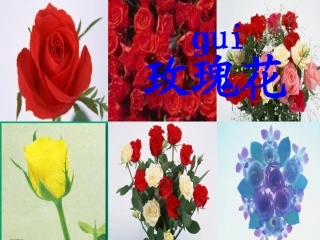 4.《小鹿的玫瑰花》课件