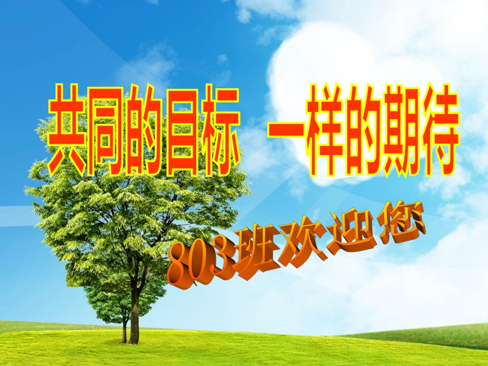 803家长会：共同的目标-一样的期待_第1页