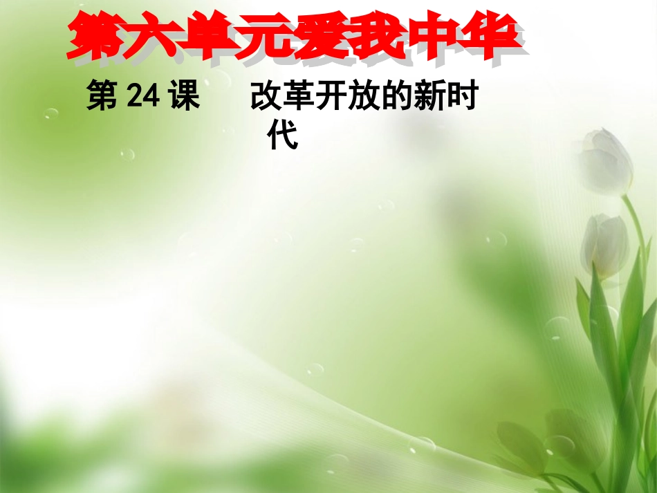 江苏省常州市安家中学七年级政治下册-第24课《举世瞩目的成就》课件-新人教版_第1页