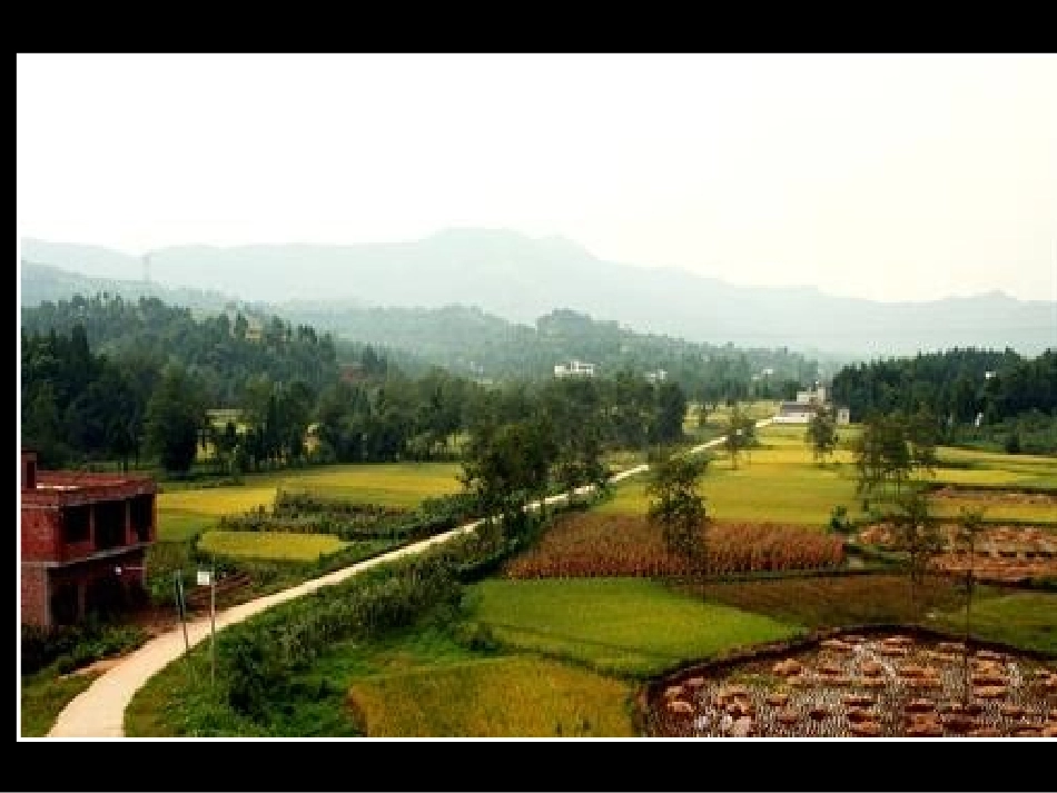 1秋天的图画_第2页