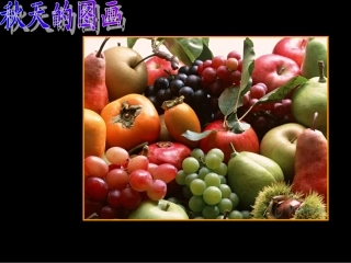 1秋天的图画