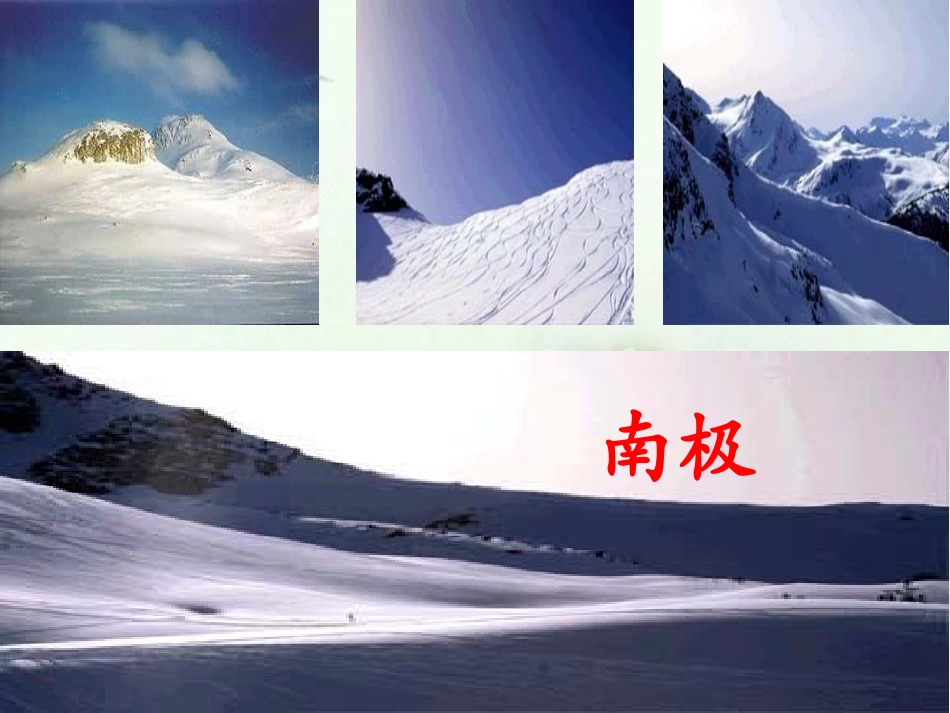 《企鹅爸爸》课件2_第2页