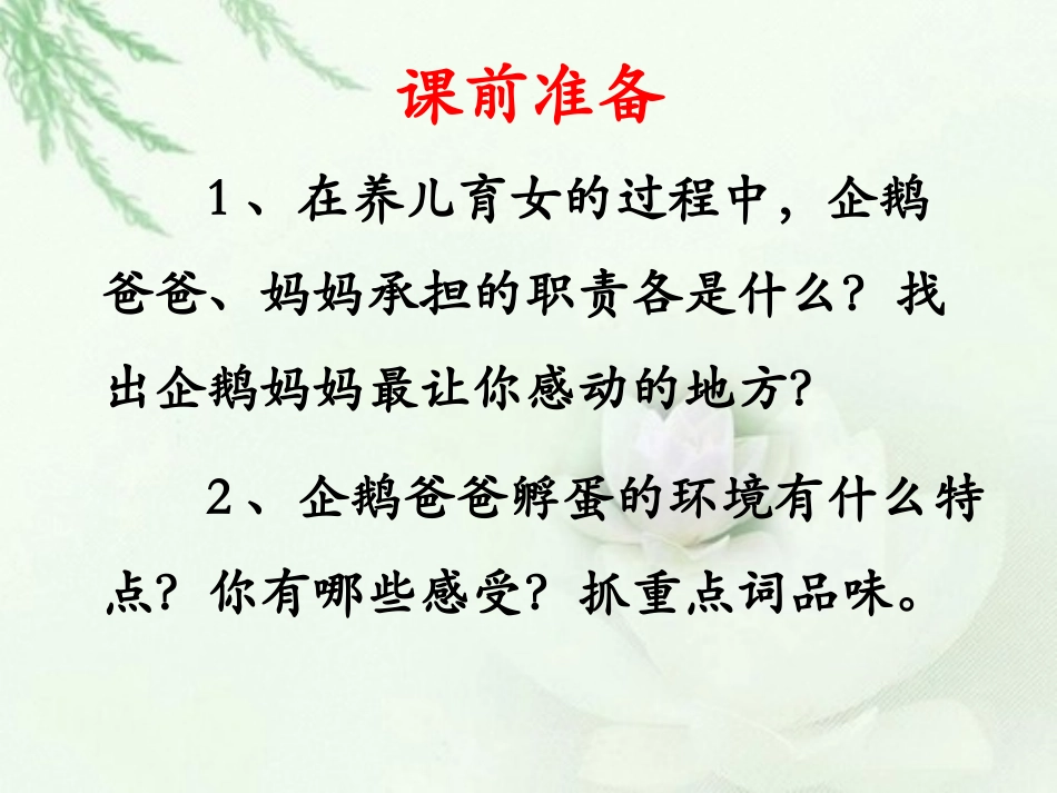 《企鹅爸爸》课件2_第3页
