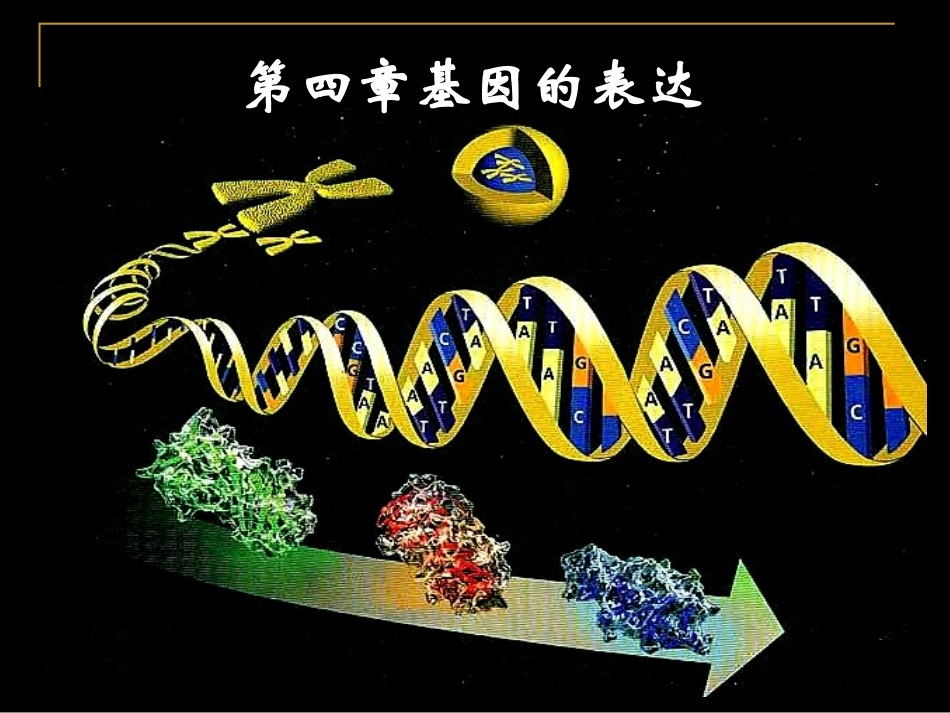 4.1《基因指导蛋白质的合成》课件--曾燕红_第1页