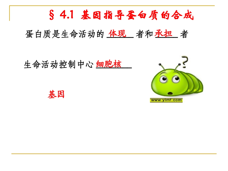 4.1《基因指导蛋白质的合成》课件--曾燕红_第2页