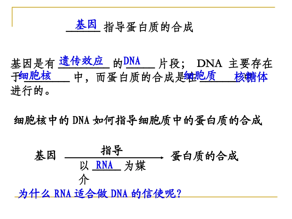 4.1《基因指导蛋白质的合成》课件--曾燕红_第3页