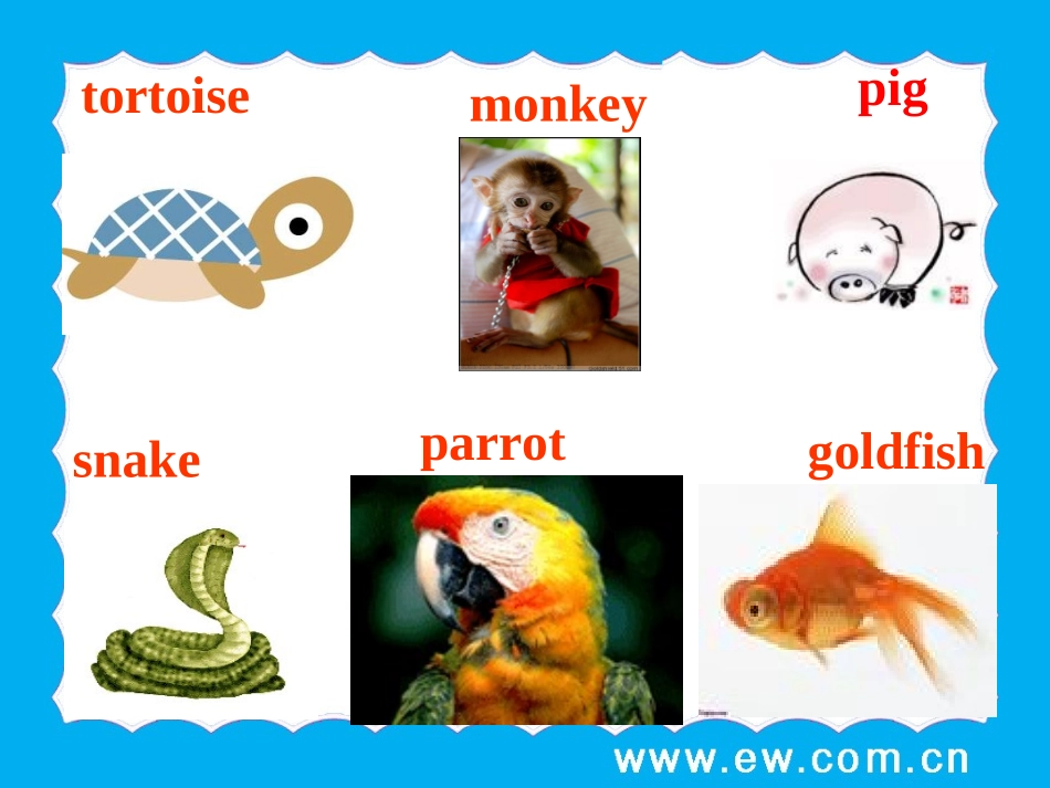 8AUnit5WildanimalsWelcometotheunit(共28张PPT)_第3页