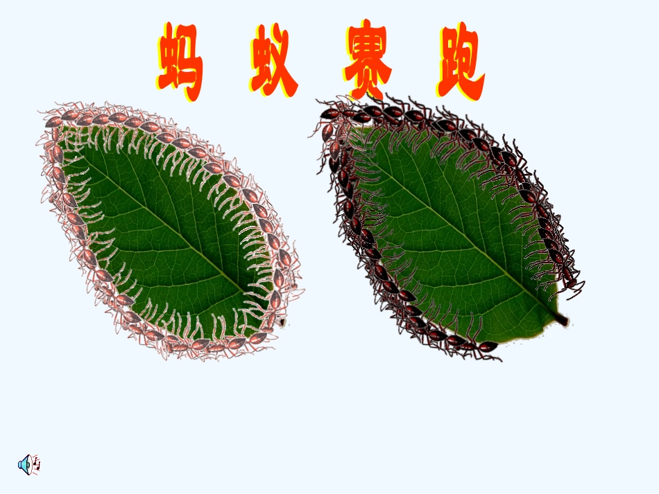 小学数学北师大2011课标版三年级什么是周长.4《什么是周长》课件(新)_第2页