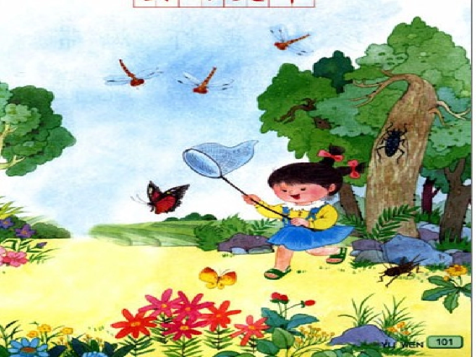 《识字4》课件3_第2页