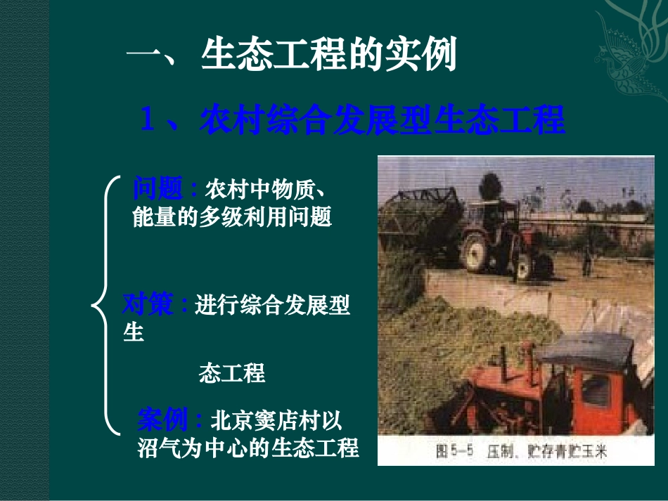 高中生物：-212-我国的生态工程(课件)-1中图版选修3_第3页
