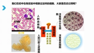 科学前沿组装细胞-(2)