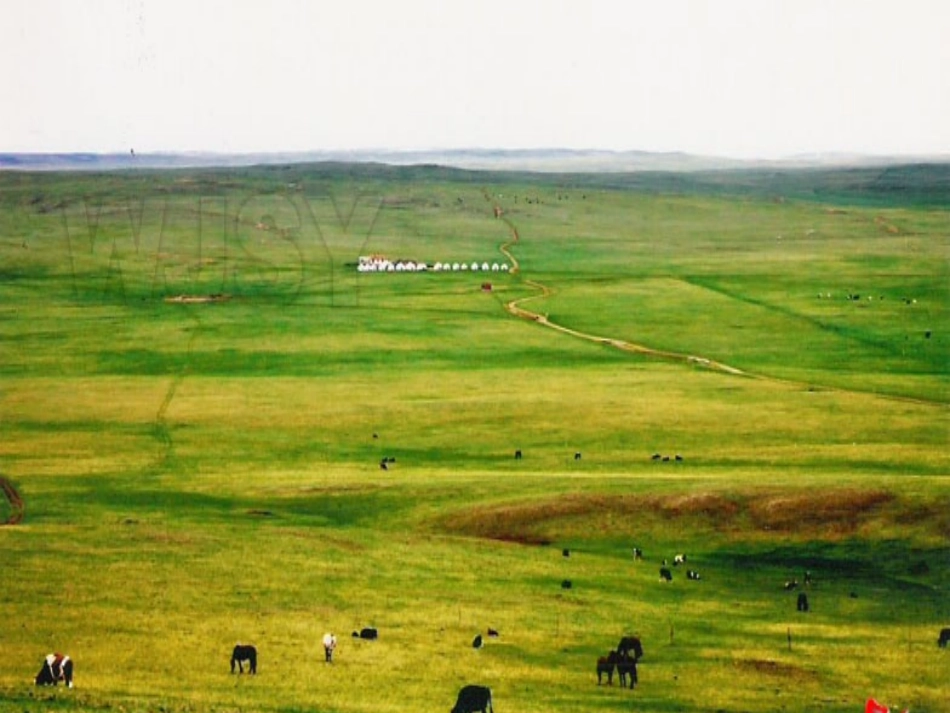 5草原的早晨_第2页