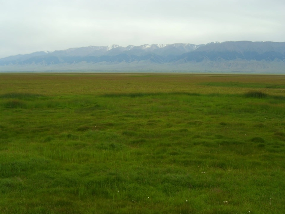 5草原的早晨_第3页