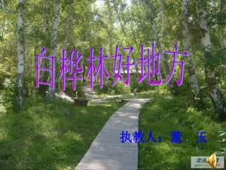 《白桦林好地方》