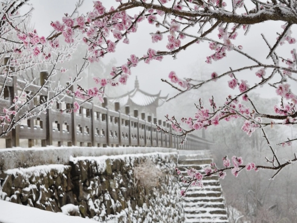 梅花-课件-(1)_第3页