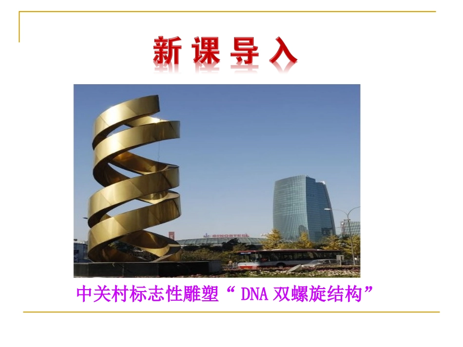 DNA分子的结构_第3页