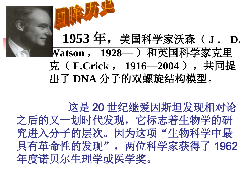 高中生物-DNA分子的结构-课件3人教版必修2_第2页