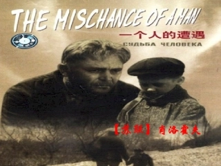 一个人的遭遇(节选)